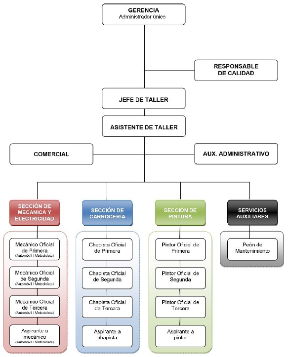organigrama-entidad
